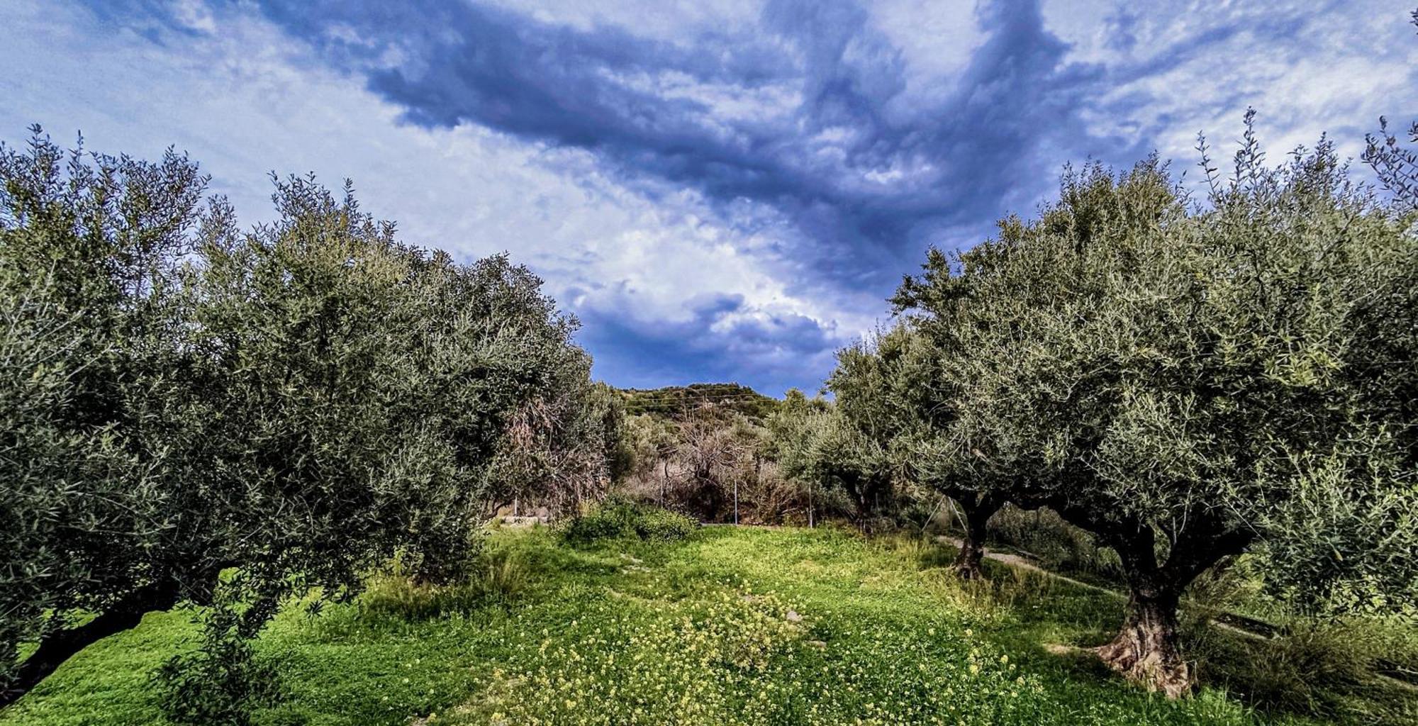 Your Spot West Peloponnese Shared Countryhouse Zacharo Luaran gambar