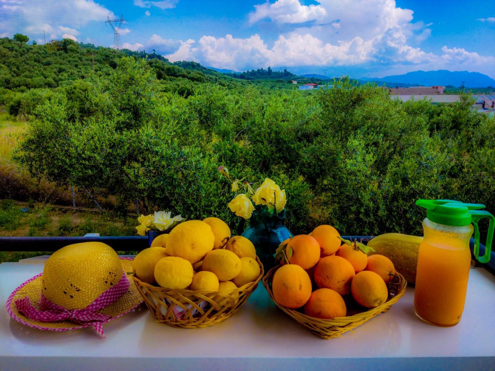 Your Spot West Peloponnese Shared Countryhouse Zacharo Luaran gambar