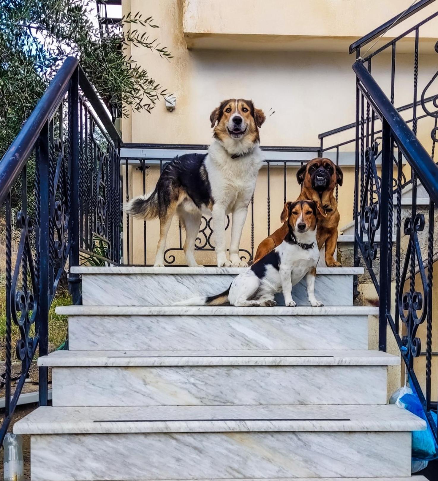 Your Spot West Peloponnese Shared Countryhouse Zacharo Luaran gambar